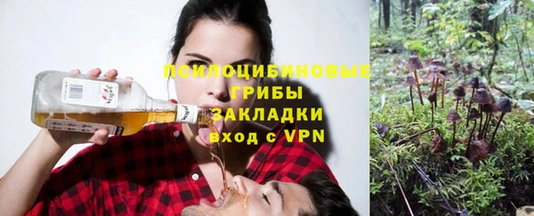 ГАЛЛЮЦИНОГЕННЫЕ ГРИБЫ Алзамай